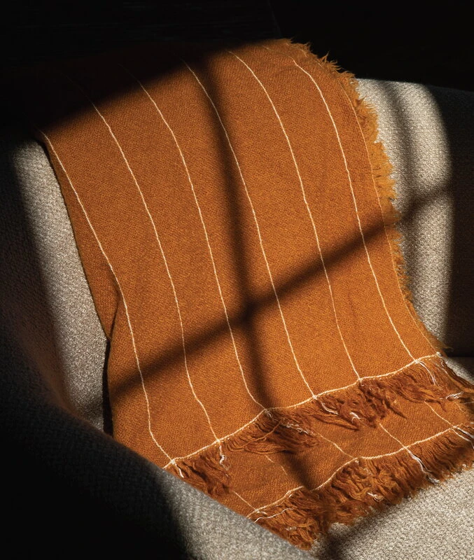 Menu Battus Decke, Ocker 2 Menu Battus Decke, Ocker – Bild 2